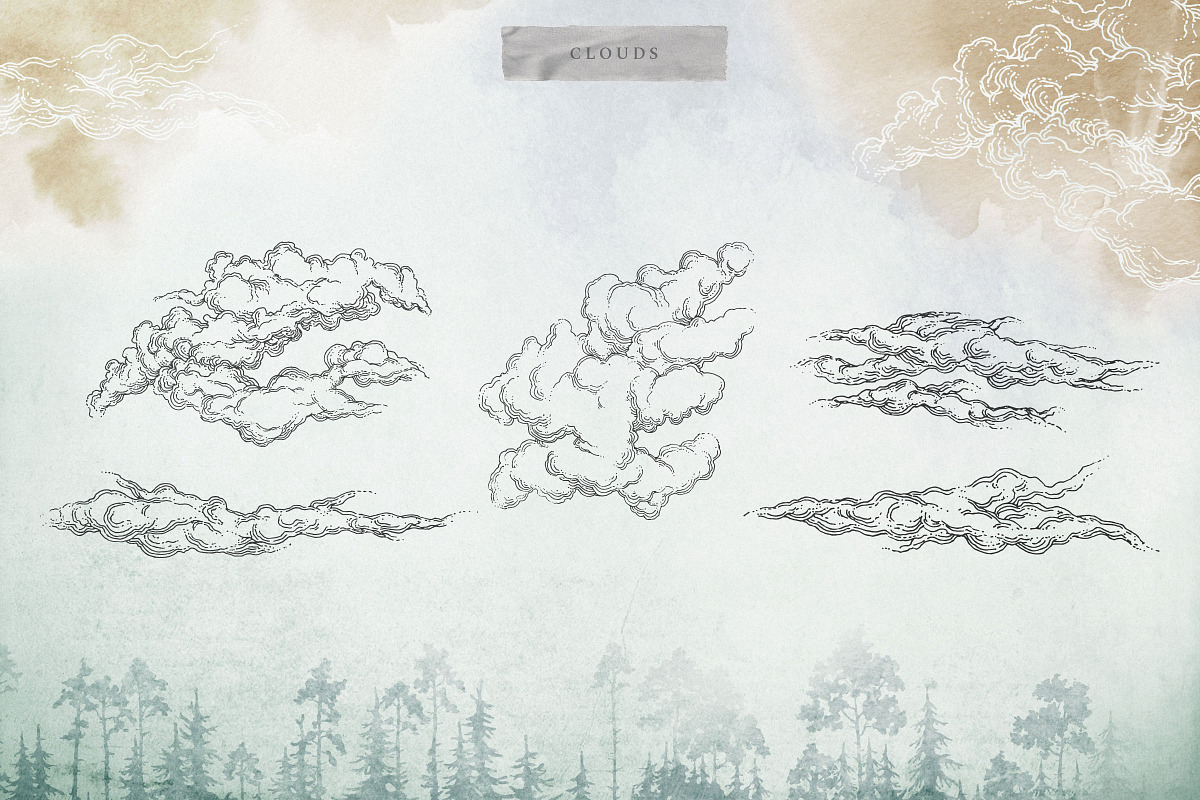 Misty Forest Collection, an Animal Illustration by Michael Rayback Design (Photo 6 of 7)