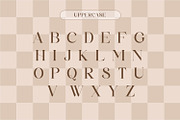 Baikan, a Serif Font by Rishsketch (Thumbnail 6 of 13)