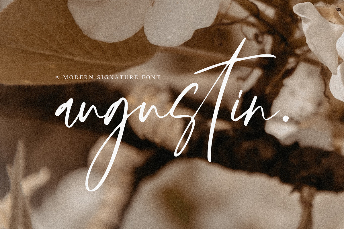 Augustin - Modern Signature Font, a Script Font by Flawless And Co (Photo 3 of 10)