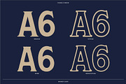 Whiskey Joint // Vintage Font, a Font by Vicarel Studios (Thumbnail 4 of 13)