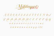 Daizen Script, a Script Font by Damelev (Thumbnail 10 of 12)