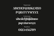 Sandor; Display Serif Font, a Serif Font by Eko Bimantara (Thumbnail 4 of 5)