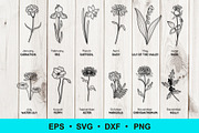 Birth Flowers Clip Art | Vector File, a Decorative Illustration by Elena Nesterova (Thumbnail 1 of 4)