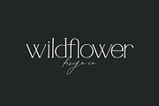 Rosemarie Dainty Serif, a Serif Font by Rachel Kick (Thumbnail 5 of 12)