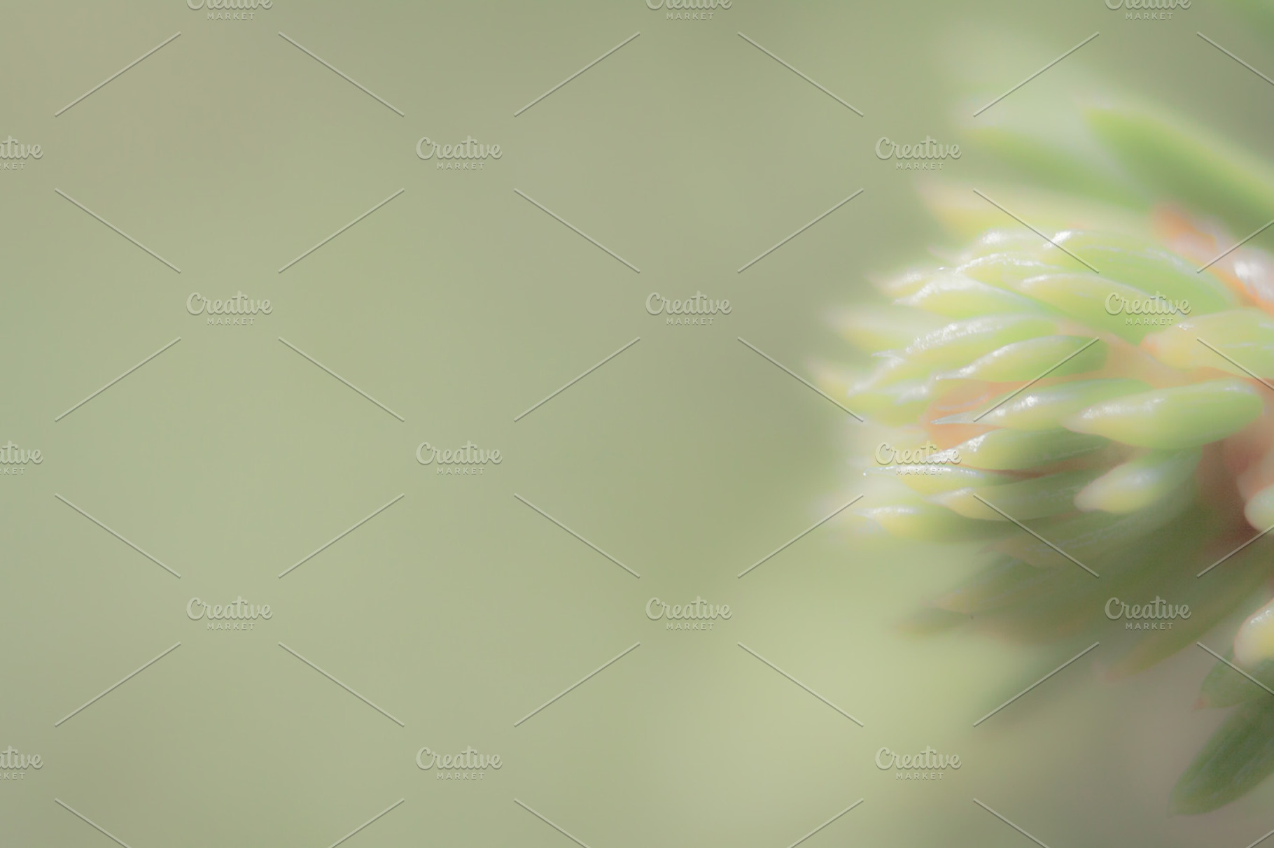 Calmness V