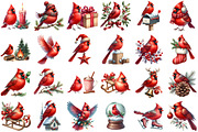Red Cardinal Christmas Clipart, an Illustration by Daily.Designs (Thumbnail 2 of 3)
