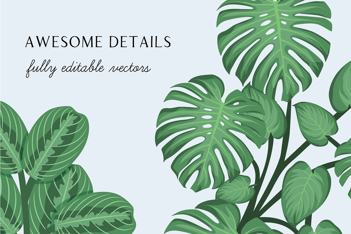 Potted House Plants Vector Clipart, an Illustration by Putnam Road Art (Photo 3 of 3)