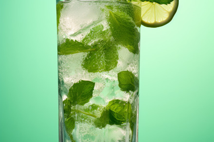 Mojito cocktail with lime and mint in highball glass, a Food & Drink Photo by Natalia Klenova's Shop