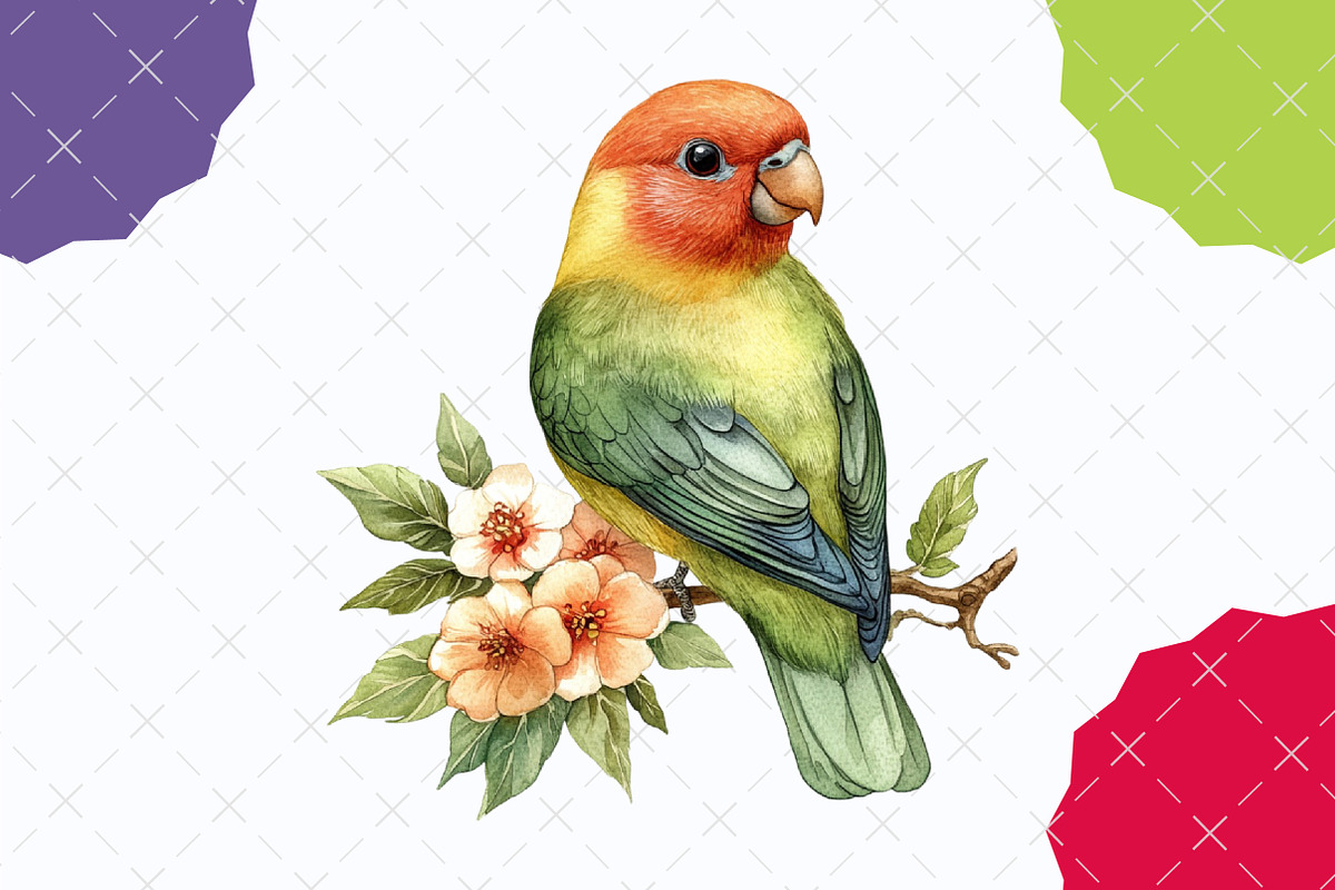 Parrots Watercolor Clipart, an Illustration by designcity5 (Photo 4 of 5)