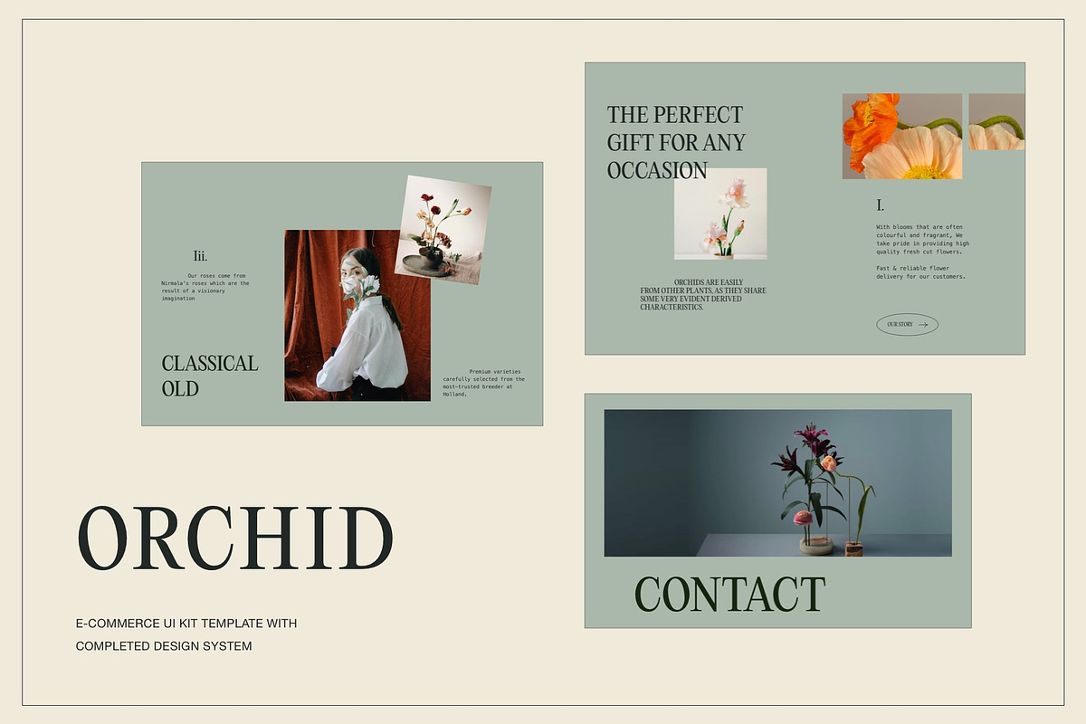 Humble | Instagram & Landing Bundles, a Landing Page Template by Skolastika Phoebe (Photo 3 of 10)