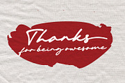 Michigan Signature, a Script Font by Cititype (Thumbnail 14 of 14)
