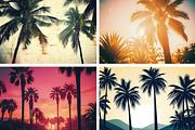 Luxury Tropical Nature, a Nature Photo by pictures for you (Thumbnail 11 of 19)