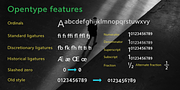Cumhuriyet VF, a Sans Serif Font by Fontuma (Thumbnail 8 of 12)
