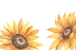 Watercolor Sunflower Cliparts