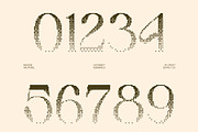 Aquene Halfpixel, a Serif Font by Craft Supply Co. (Thumbnail 5 of 8)