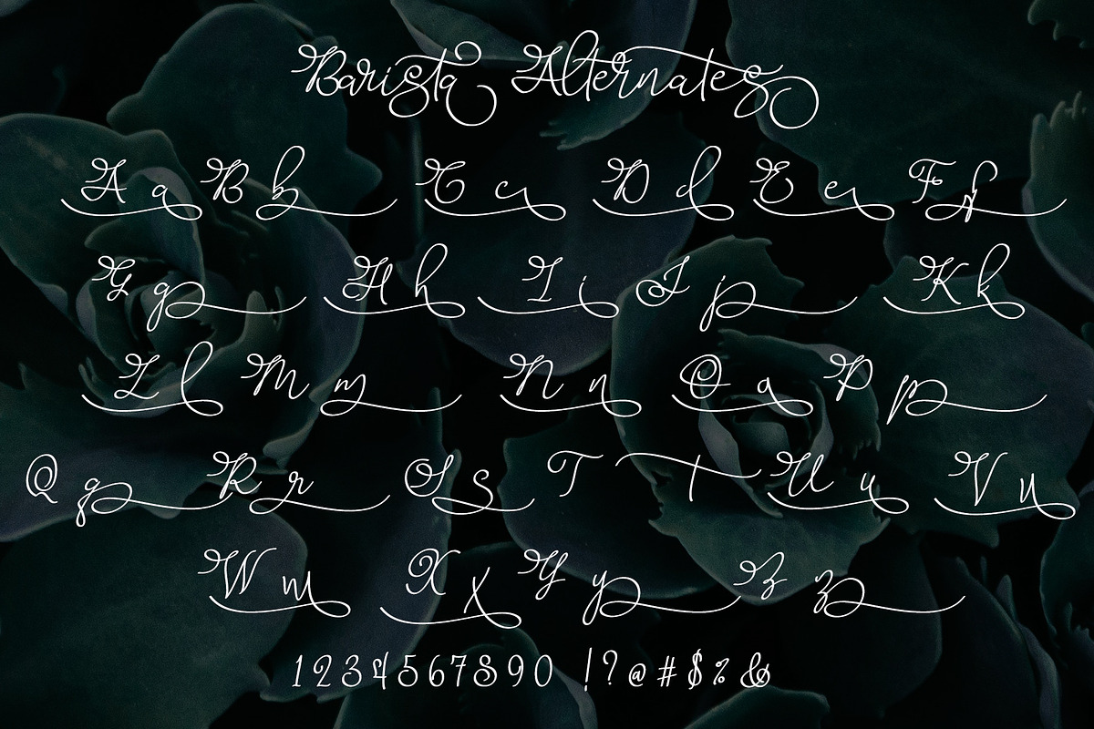 Barista Script preview 6