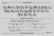 Clausville, a Serif Font by Dora Typefoundry (Thumbnail 6 of 12)