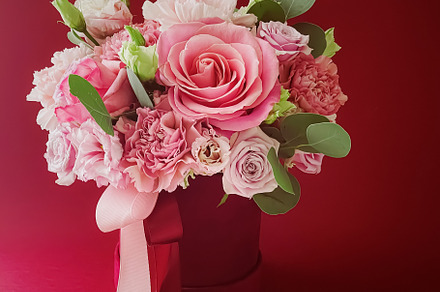 Beautiful flower box on red background, bouquet of blooming flow, a Beauty & Fashion Photo by Anneleven