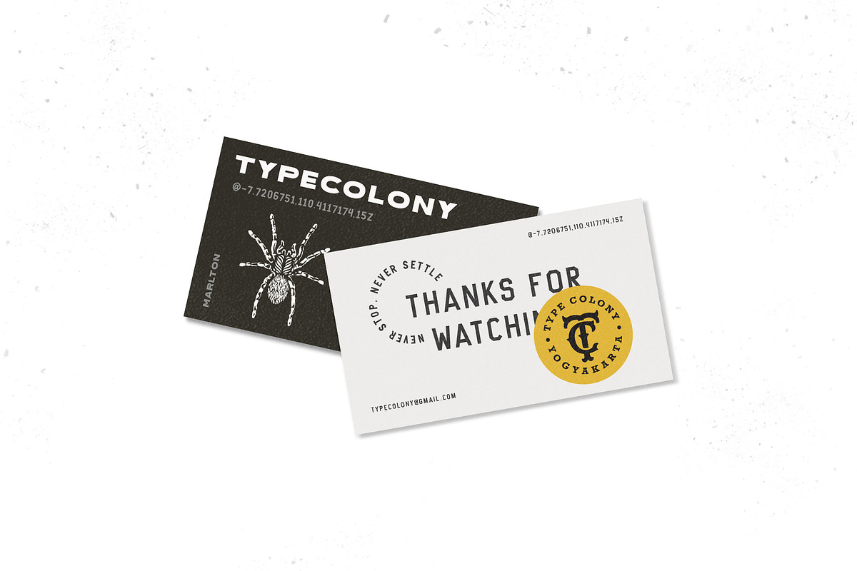 Marlton Font Collection, a Sans Serif Font by Type Colony (Photo 10 of 10)