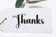 Photography | Script Font, a Script Font by Scratchones (Thumbnail 4 of 8)