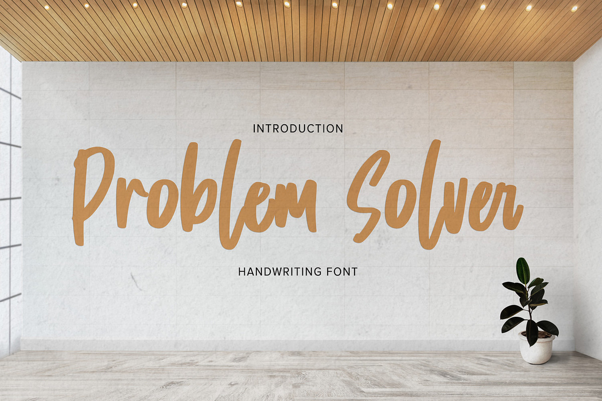 Problem Solver -Playful Display Font, a Script Font by Gassstype (Photo 1 of 8)