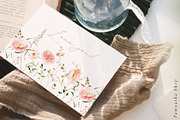 Line-thin watercolor wildflowers, a Decorative Illustration by Pamyatka Shop (Thumbnail 15 of 16)