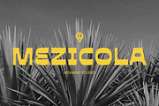 Mezicola Display Font, a Slab Serif Font by Hishand Studio (Thumbnail 1 of 10)