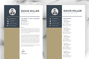 JOB WINNING RESUME - 50 TEMPLATES, a Resume Template by ResumeInventor (Thumbnail 85 of 184)