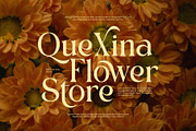 Lovika Elegant Fashion Serif Font, a Serif Font by Graphicxell (Thumbnail 3 of 8)