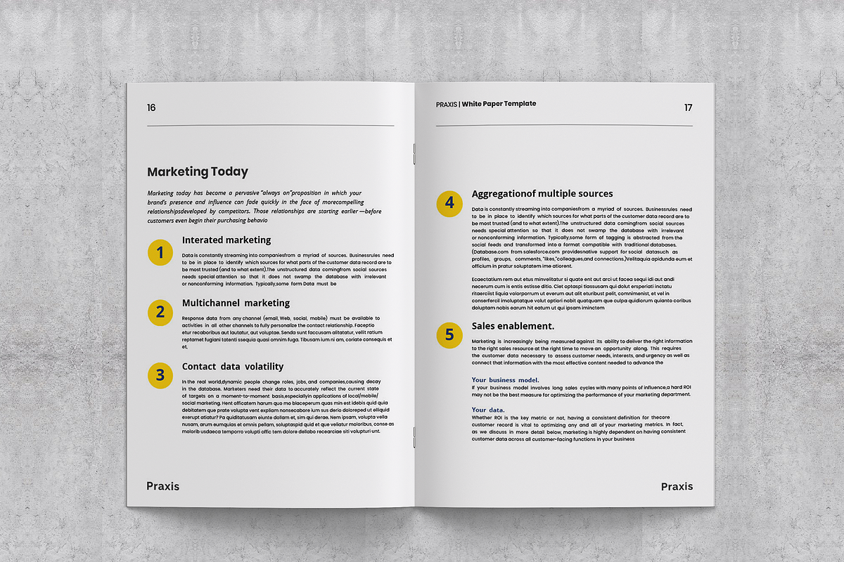 White Paper Template, a Brochure Template by azadcsstune (Photo 4 of 15)