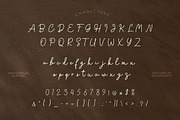 Fellina - Monoline Script Font, a Script Font by Brand Earth (Thumbnail 2 of 7)