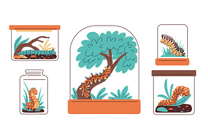 Cute caterpillar in glass container, an Animal Illustration by Sabelskaya