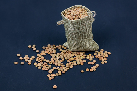 brown dried lentils in a burlap bag, a Food & Drink Photo by AlexBush