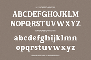 Corviane Bold Serif Font, a Serif Font by Vadovastd (Thumbnail 2 of 8)