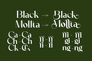 Black Mollta, a Serif Font by zaaintype (Thumbnail 2 of 11)
