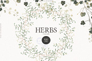 HERBS || Botanica & Glitter Effect, an Illustration by nadispasibenko (Thumbnail 3 of 8)