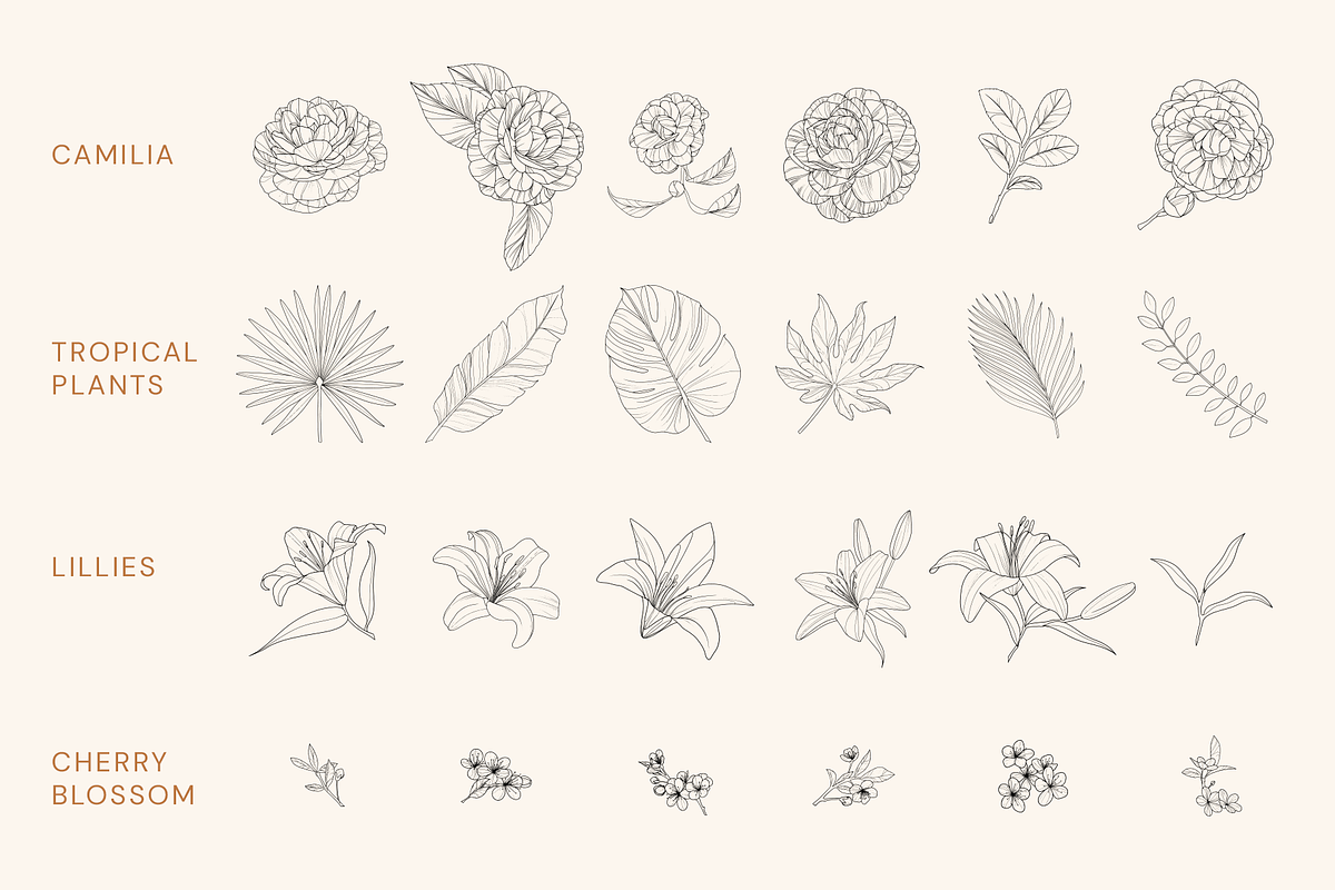 Vector Vintage Ink Flowers & Plants, an Object Graphic by Lisa Jacobs Design (Photo 2 of 4)