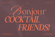 Silver Garden - Nostalgic Font Duo, a Serif Font by SilverStag Type Foundry (Thumbnail 17 of 26)
