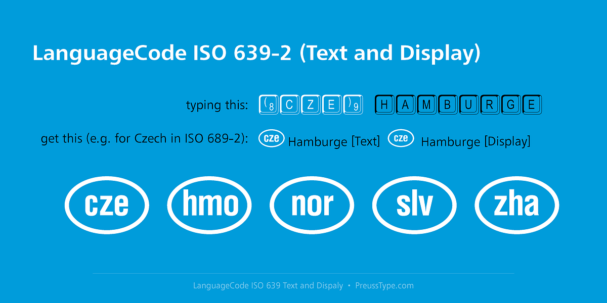 Language Code, a Symbol Font by preussTYPE (Photo 4 of 6)