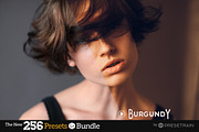 256 New Lightroom Preset Bundle, an Action Add-On by Presetrain Co. (Thumbnail 9 of 51)