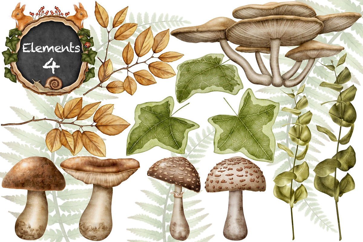 Forest Wonders Watercolor clipart, an Illustration by Happy Sloth Graphics (Photo 6 of 16)