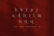 Meet Mange Elegant Serif, a Serif Font by Elegant Font (Thumbnail 8 of 8)