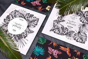 Hand Drawn Tropical Plants