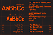 Zealandia - Sans Serif, a Sans Serif Font by Prominent & Affluent (Thumbnail 4 of 10)