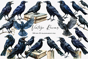 Vintage Ravens and Crows Clipart, an Illustration by Designworld (Thumbnail 1 of 6)