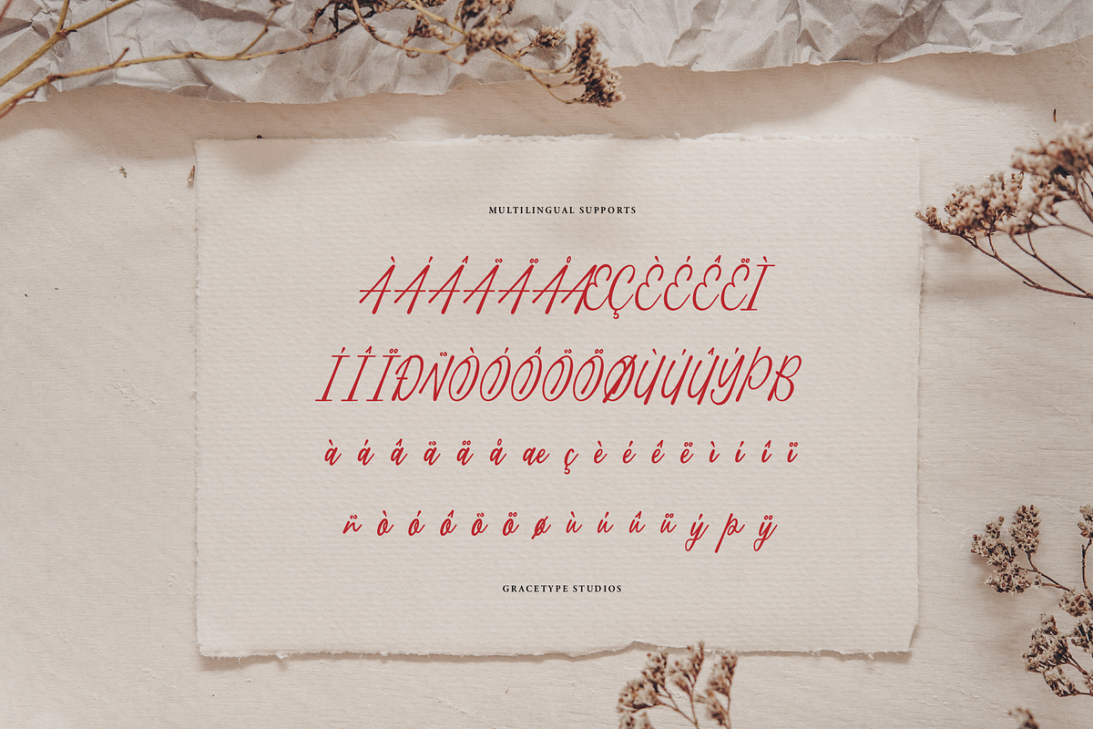 Qandeliya | Handwritten Signature, a Script Font by gracetype_studio (Photo 11 of 12)