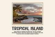 Fancy Tropica Summer & Holiday Font, a Handwritten Font by QR Design Studio (Thumbnail 5 of 7)