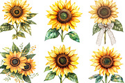 Watercolor Sunflower Clipart Bundle, an Illustration by Designking (Thumbnail 3 of 6)