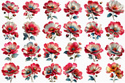 Spring Cosmos Flower Clipart Png, an Illustration by Craft Nest (Thumbnail 6 of 11)