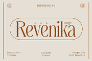 Revenika Rough, a Serif Font by Craft Supply Co. (Thumbnail 1 of 8)